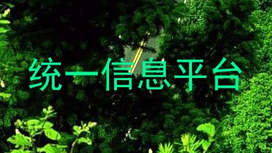统一信息平台