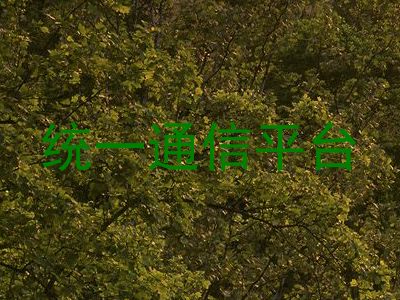 统一通信平台