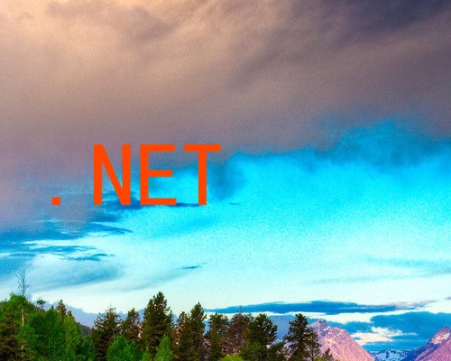 .NET