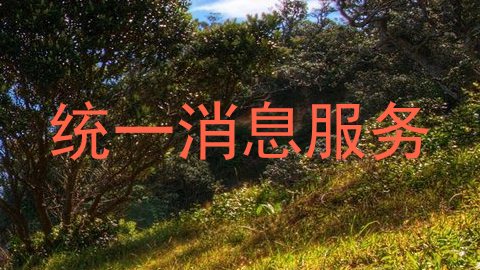 统一消息服务