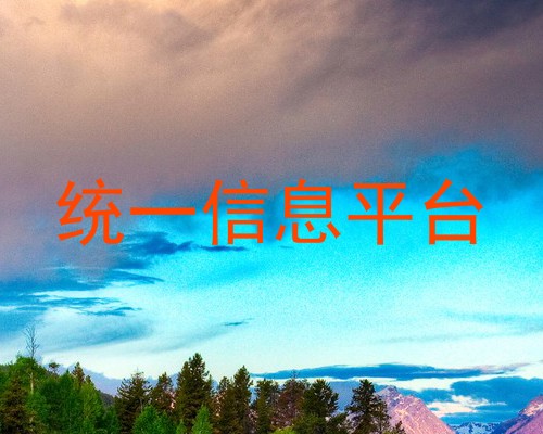 统一信息平台