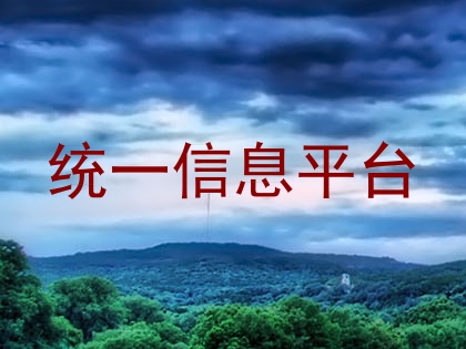 统一信息平台