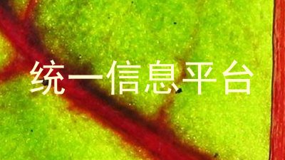统一信息平台