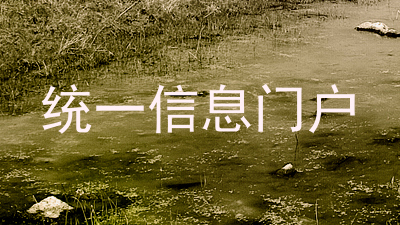 统一信息门户