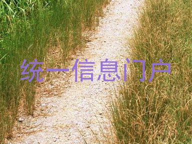 统一信息门户