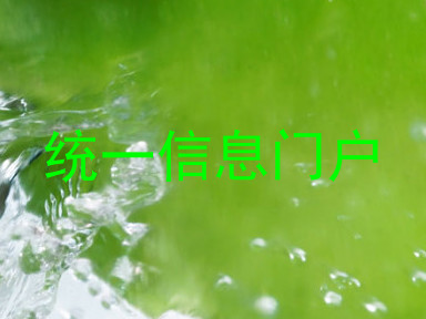 统一信息门户