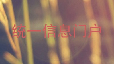 统一信息门户