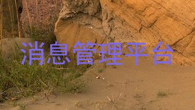 消息管理平台