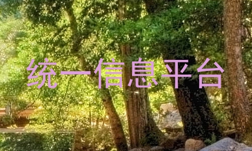 统一信息平台