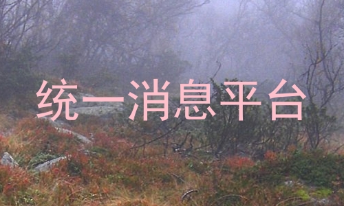 统一消息平台