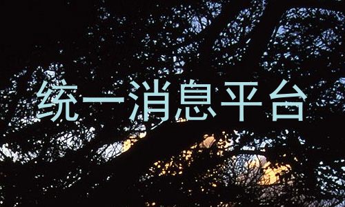统一消息平台