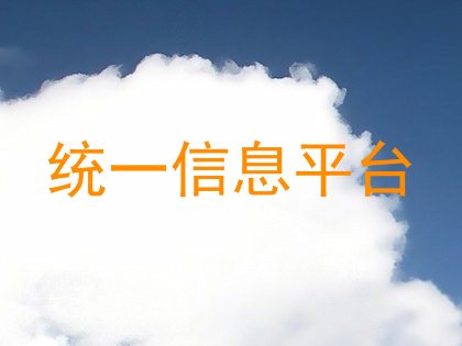 统一信息平台