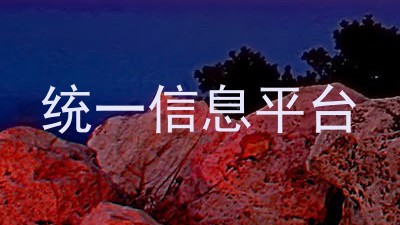 统一信息平台