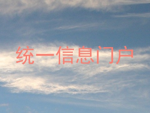 统一信息门户