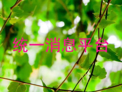 统一消息平台