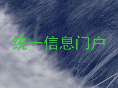 统一信息门户