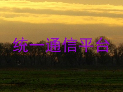统一通信平台
