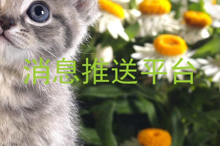 消息推送平台