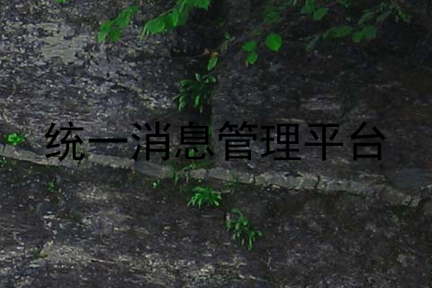 统一消息管理平台