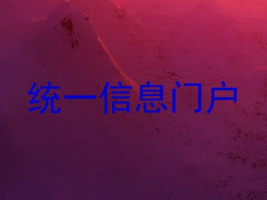 统一信息门户