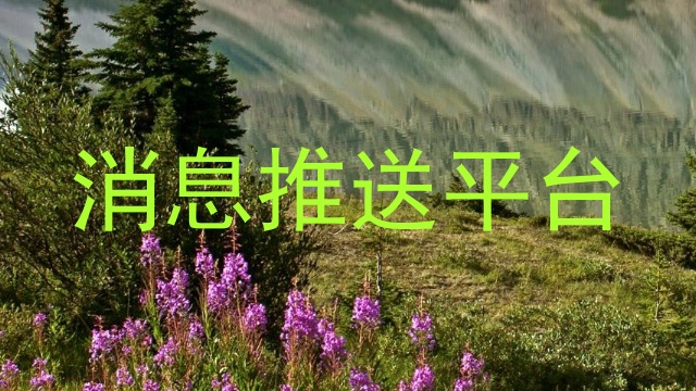 消息推送平台