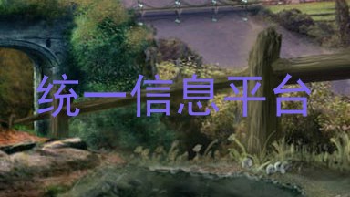 统一信息平台