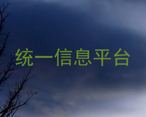 统一信息平台