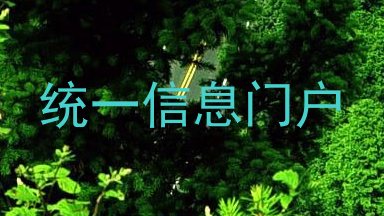 统一信息门户