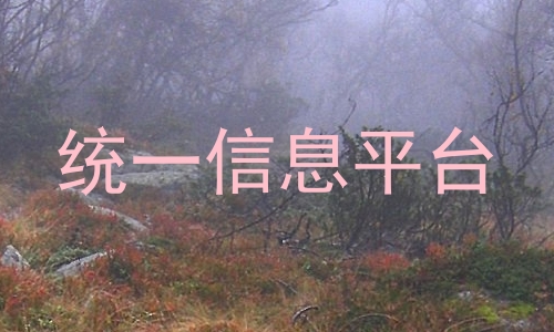 统一信息平台