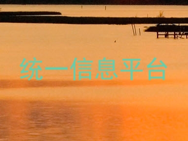 统一信息平台