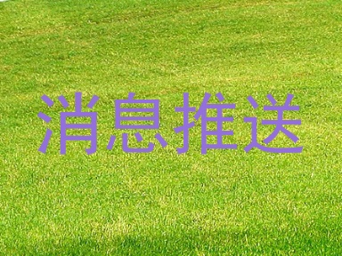消息推送