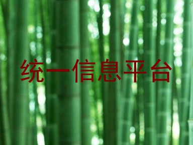 统一信息平台