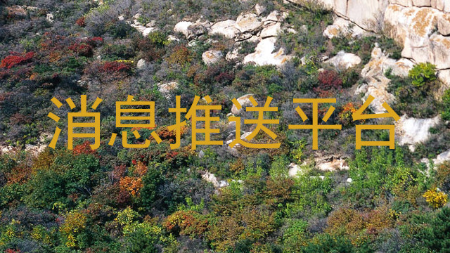 消息推送平台