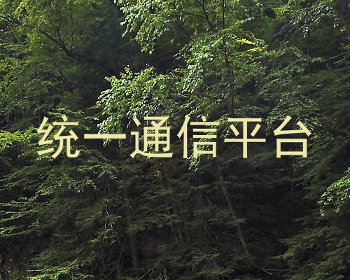 统一通信平台
