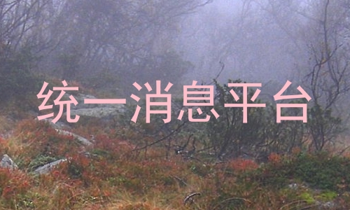 统一消息平台