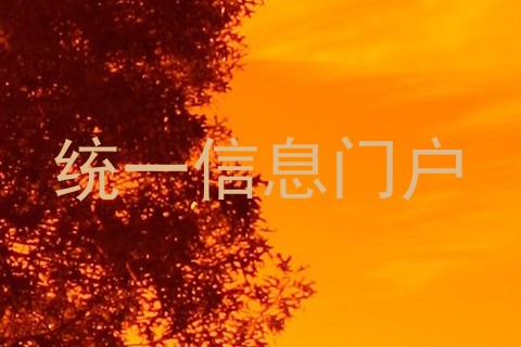 统一信息门户