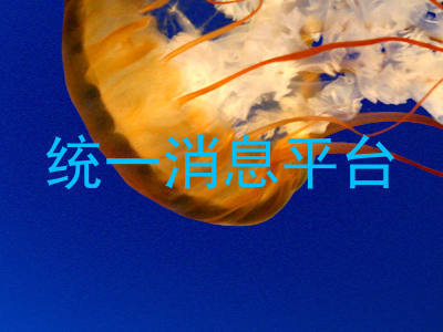 统一消息平台