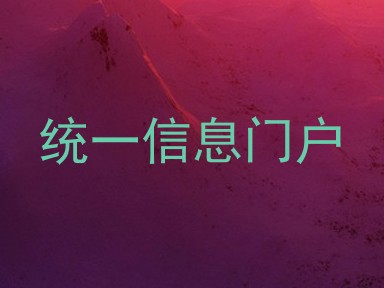 统一信息门户