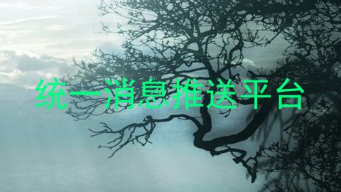 统一消息推送平台