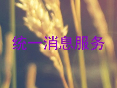 统一消息服务
