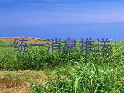 统一消息推送