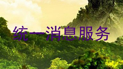 统一消息服务