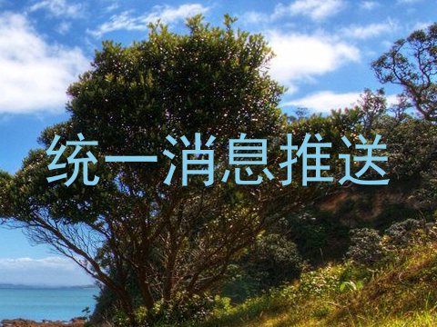 统一消息推送