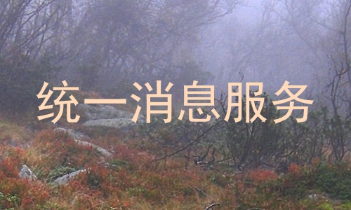 统一消息服务