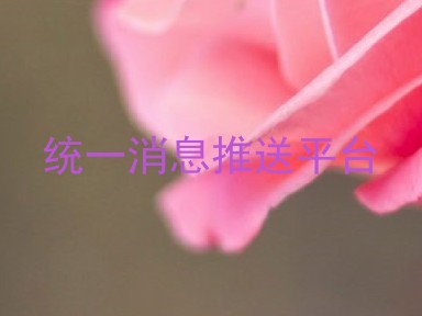 统一消息推送平台