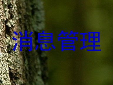 消息管理
