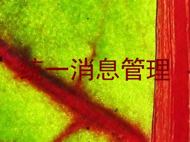 统一消息管理