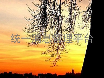 统一消息管理平台