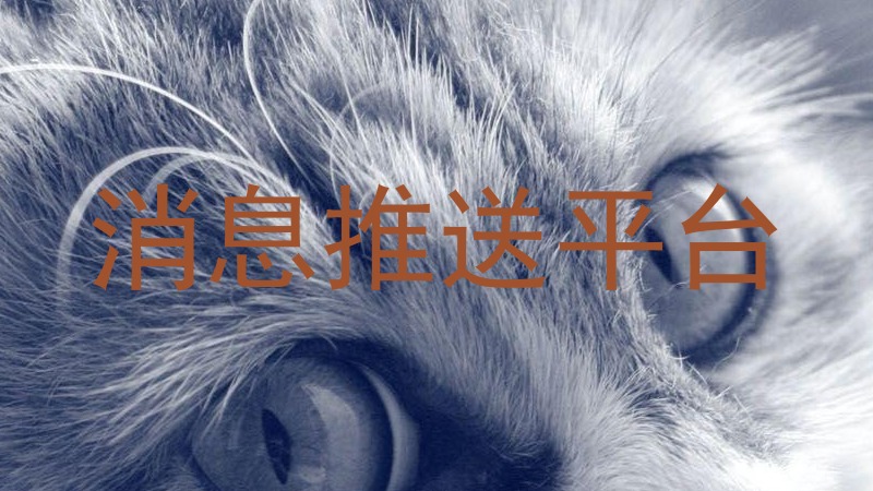 消息推送平台