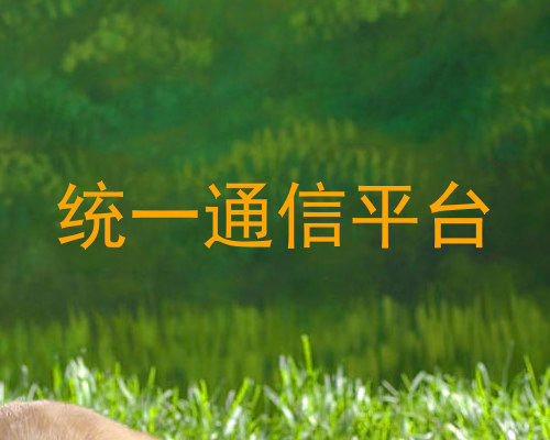统一通信平台